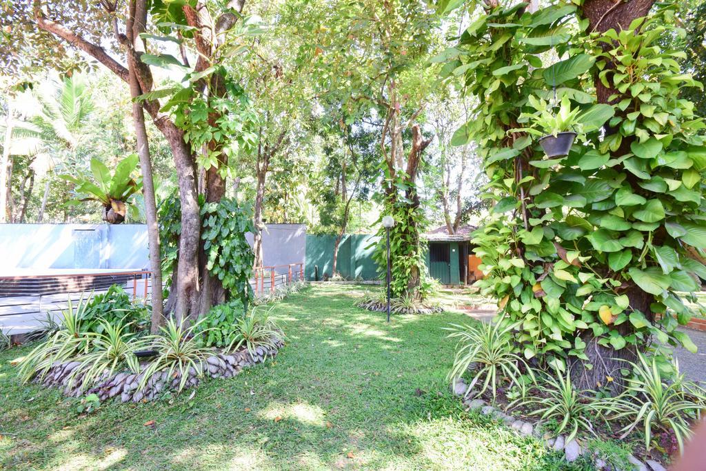 Anon Rest Hotell Dambulla Exteriör bild